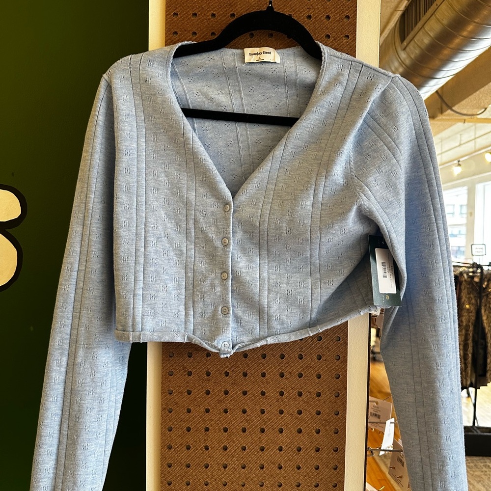 Aritzia Sunday Best Light Blue Button Down Shirt